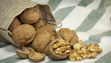 Several walnut shells and walnut kernels bursting out of burlap sack on stripped cloth surface.