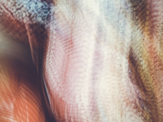 Fototapeta premium Abstract motion blur effect background. Shot on long exposure 