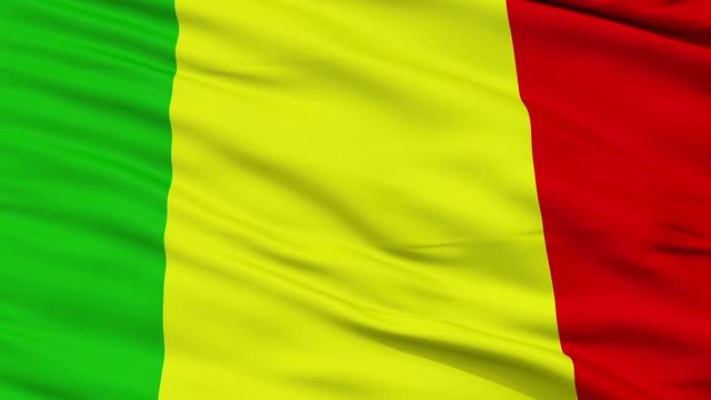Chateauroux closeup flag, city of France, realistic animation seamless loop - 10 seconds long