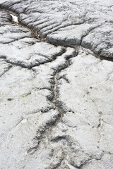 Soil erosion. Flowing water has carved channels through the clay and sandy soil.