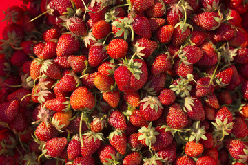 Ripe strawberries. A lot of ripe berries. Delicious vegan dessert.