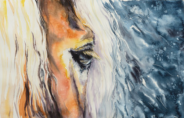 
Close-up of a beautiful horses eye.Picture created with watercolors. - obrazy, fototapety, plakaty