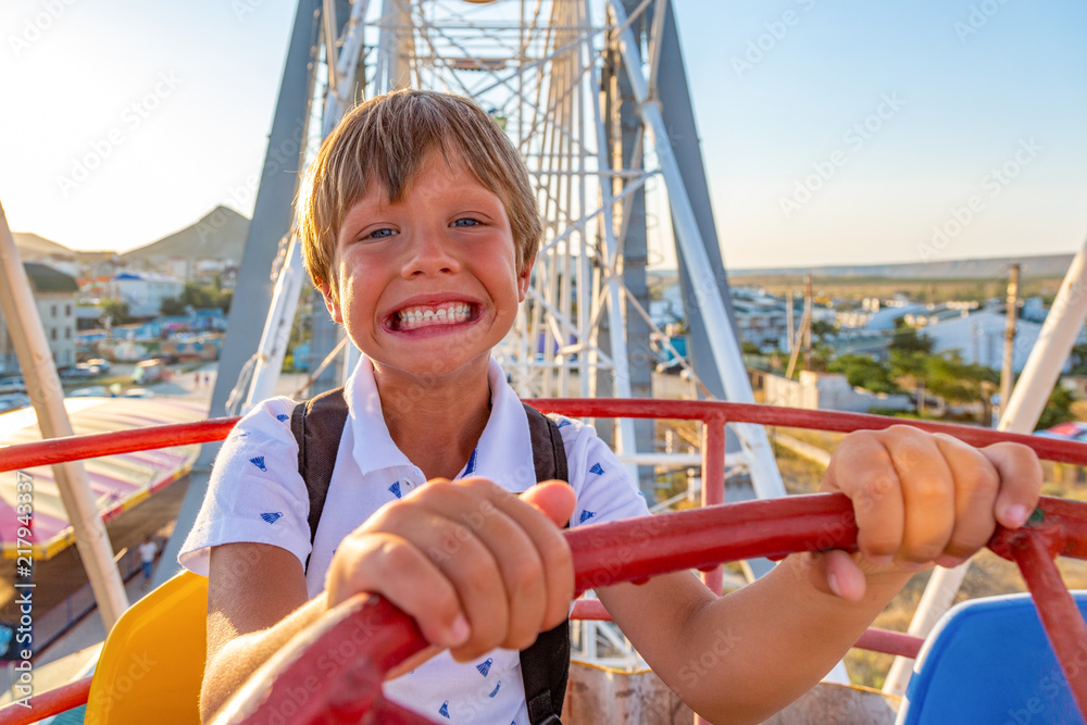 Wall mural smilling excited boy enjoying the view from ferris wheel in amusement park