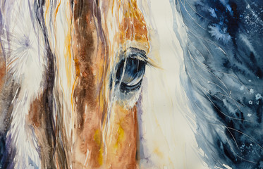 
Close-up of a beautiful horses eye.Picture created with watercolors. - 217943775