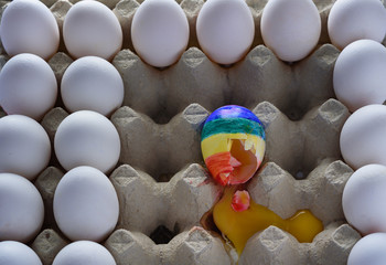 Broken egg with the colors of the LGBT flag surrounded of white other many eggs  in carton cage....