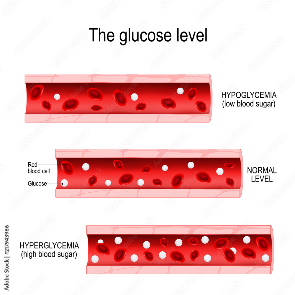 Wall mural Glucose in the blood vessel