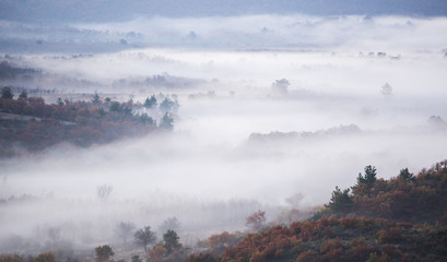Autumn landscape on a foggy morning