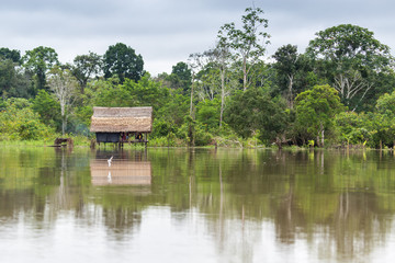Fototapeta na wymiar A Home on Stilts Along the Amazon River, High Water Season