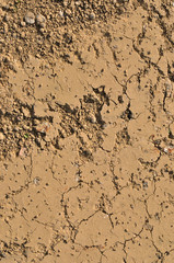 Closeup of cracked and dried out brown sandy soil.