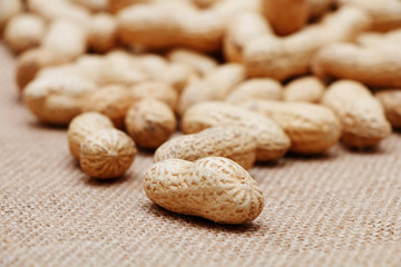 Peanuts in shells on the background of sack cloth.