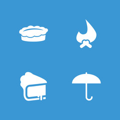 Collection of 4 seasonal filled icons