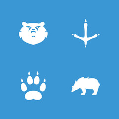 Collection of 4 paw filled icons