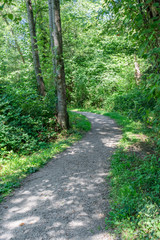 Fototapeta na wymiar Umbrous hike trail through sunny green summer forest