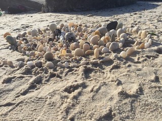 beach rock spiral sculpture