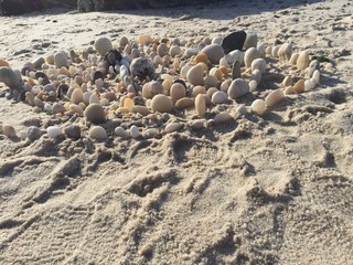 beach rock spiral sculpture
