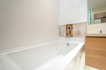 Faucet repair in the bathroom. Broken shower faucet plumbing job.