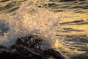 朝日の中で寄せて砕ける波