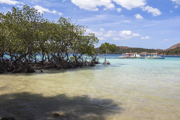 Beautiful water on philippine beach near Coron