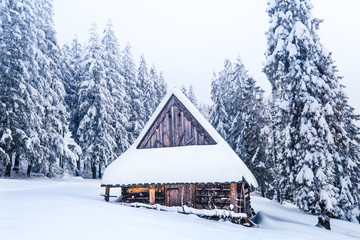 Winter landscape