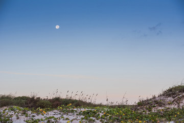 Morning on the beach