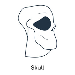 Skull icon vector isolated on white background, Skull sign , illustration with thin symbols or lined elements in outline style