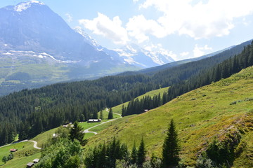 Fototapeta na wymiar Eiger Nordwand in den Berner Alpen 