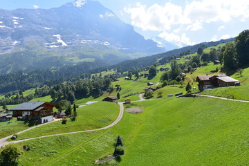 Fototapeta na wymiar Eiger Nordwand in den Berner Alpen 