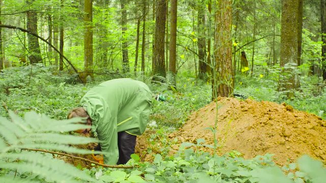 Scientist environmentalist in the forest digging a soil slit with the shovel.