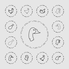 Collection of 13 poultry outline icons