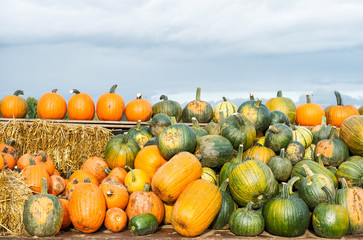 Pumpkin harvest Autumn nature background
