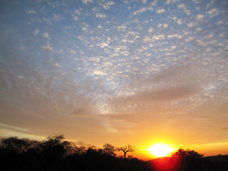 small sheep like clouds and sunset