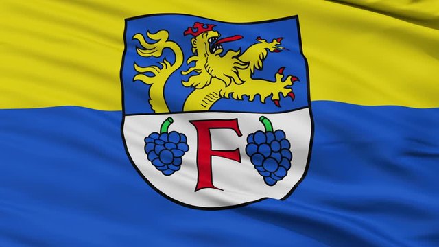Freinsheim closeup flag, city of Germany, realistic animation seamless loop - 10 seconds long