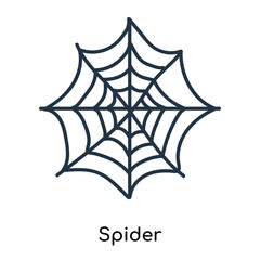 Spider icon vector isolated on white background, Spider sign , illustration with thin symbols or lined elements in outline style