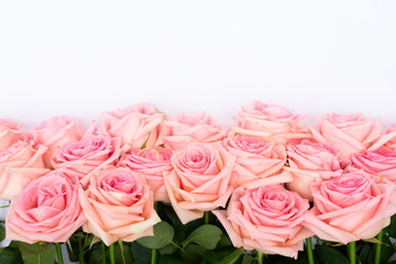 Rose fresh flowers border on light table from above with copy space, top view scene