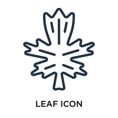 Fototapeta na wymiar leaf icons isolated on white background. Modern and editable leaf icon. Simple icon vector illustration.
