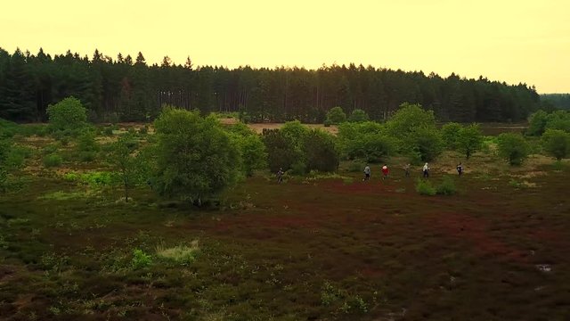 drone shot of people hiking in open field with trees behind it