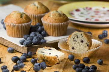 Blueberry muffins with blueberries