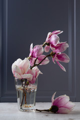 Gray room interior decor with magnolia flowers. low key