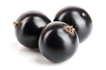 three black currant isolated on white background