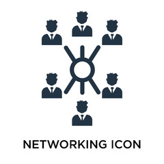 networking icon isolated on white background. Simple and editable networking icons. Modern icon vector illustration.