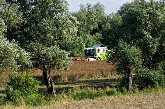 kombajn rolniczy żniwa