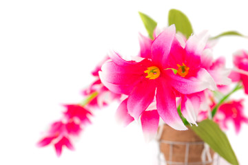 pink fake flowers on white background