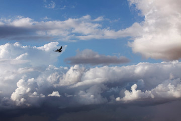 Pigeon against clouds