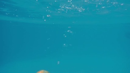 Red apple in slow motion falling in the water against a blue background. Underwater footage. - Powered by Adobe