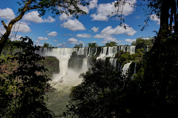 Iguazu Waterfalls Jungle Argentina Brazil