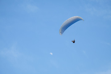 Paraglider in the sky