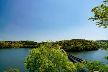 大分農業文化公園　吊り橋