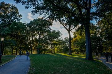 Fototapeta na wymiar New York Central Park Sunset blue Sky trees Manhatten