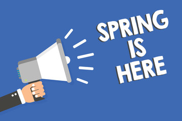 Text sign showing Spring Is Here. Conceptual photo After winter season has arrived Enjoy nature flowers sun Man holding megaphone loudspeaker blue background message speaking loud.