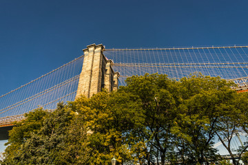 New York Brooklyn Bridge View with Trees